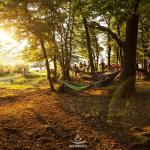 Mica Hamaceala | Episodul 2