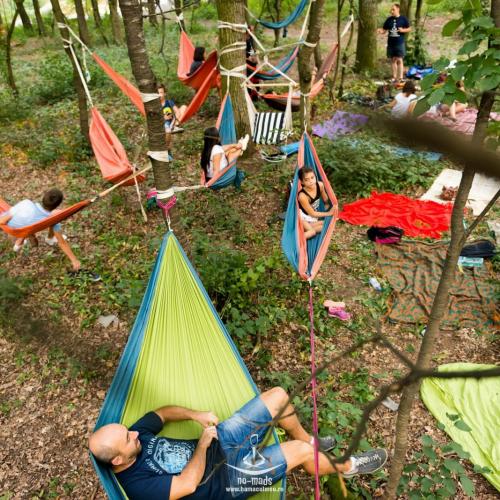 Hamaceala la Platoul Cornesti