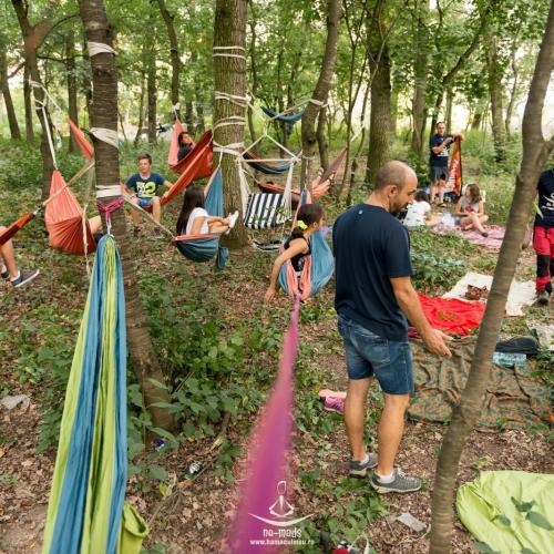 Hamaceala la Platoul Cornesti