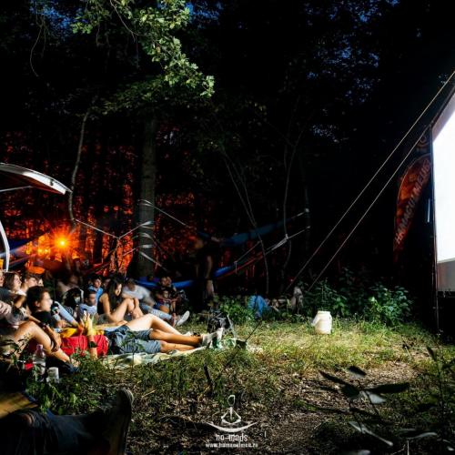 Proiectii de filme la hamaceala