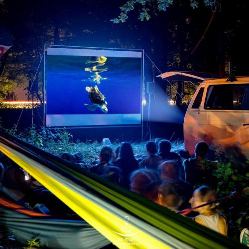 Proiectii de filme la hamaceala