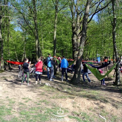 Prima Hămăceală la Tg. Mureș