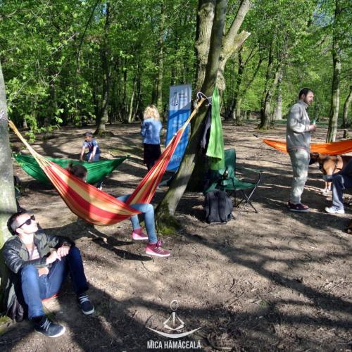 Hamac in padure