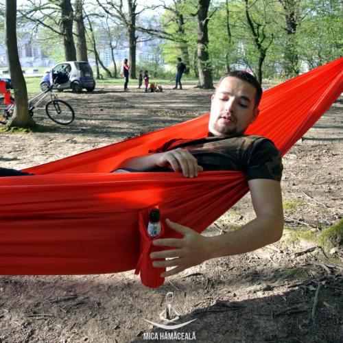 Hamac in padure